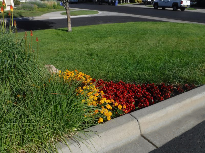 Featured image for “Albuquerque Landscaping Companies”