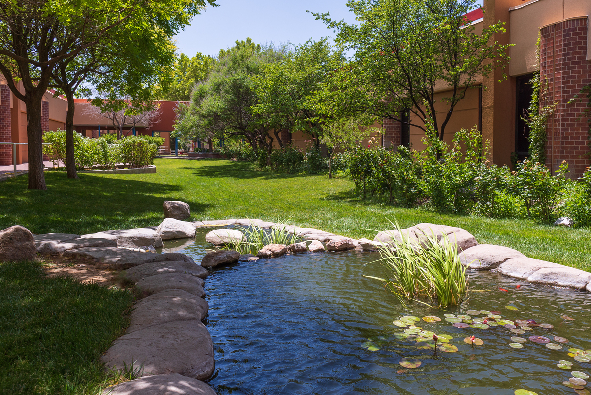 Featured image for “Why Contact Leeco Grounds Management for Landscaping in Albuquerque?”