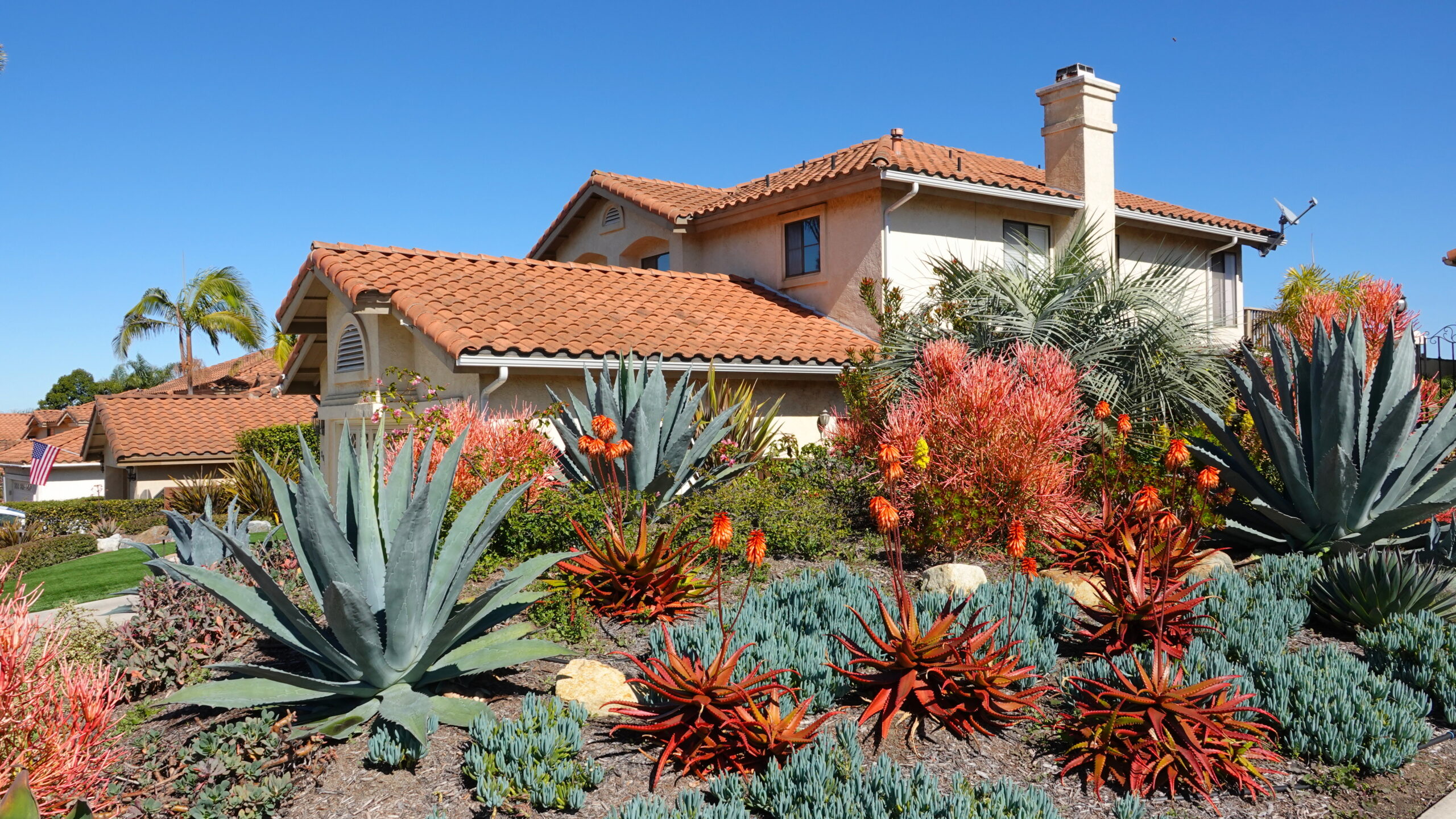 Featured image for “Landscape Design in Albuquerque: Elevating Outdoor Spaces”