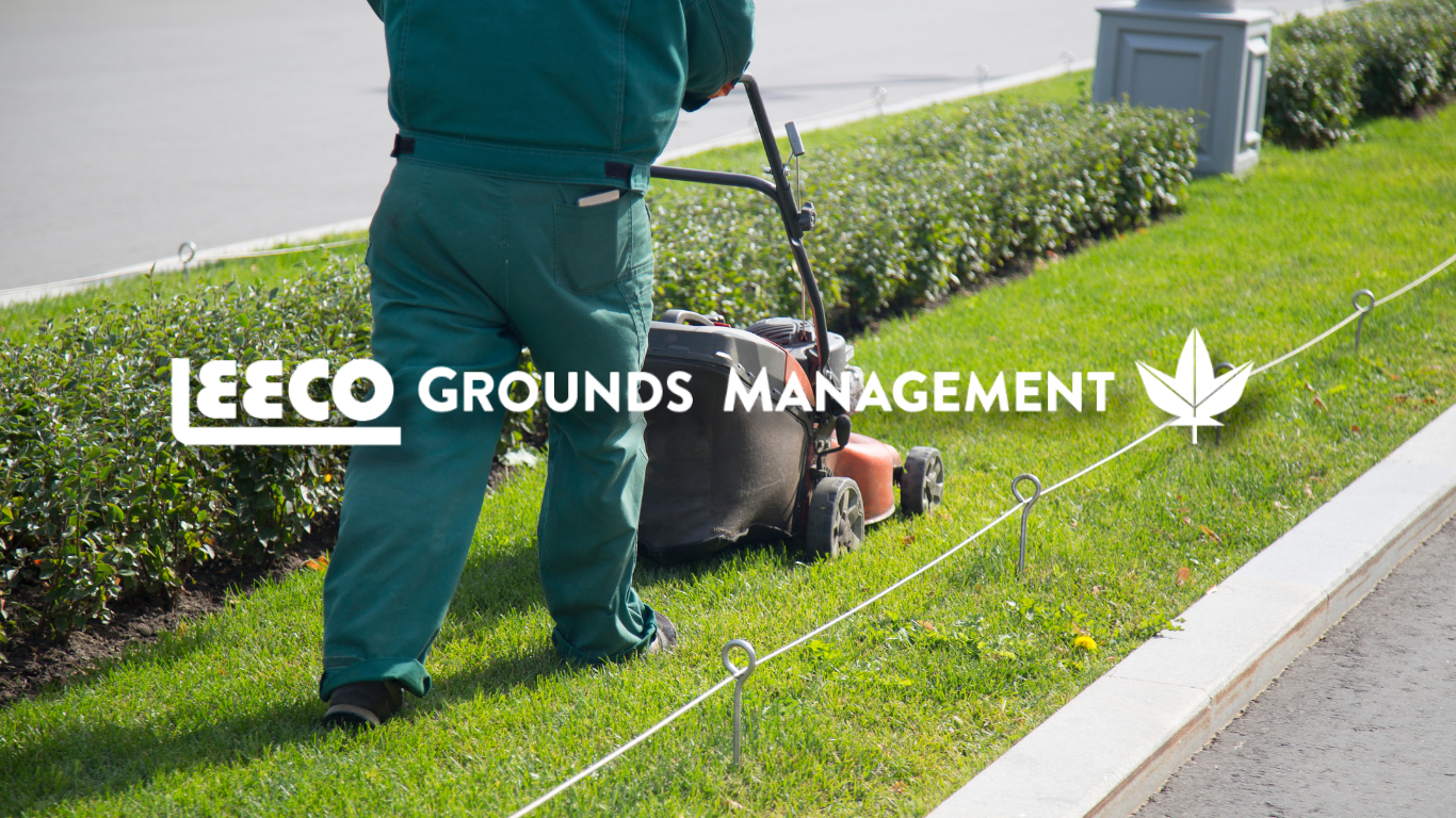 Featured image for “Who We Are: Leeco Grounds Management’s Quality Landscaping Solutions”