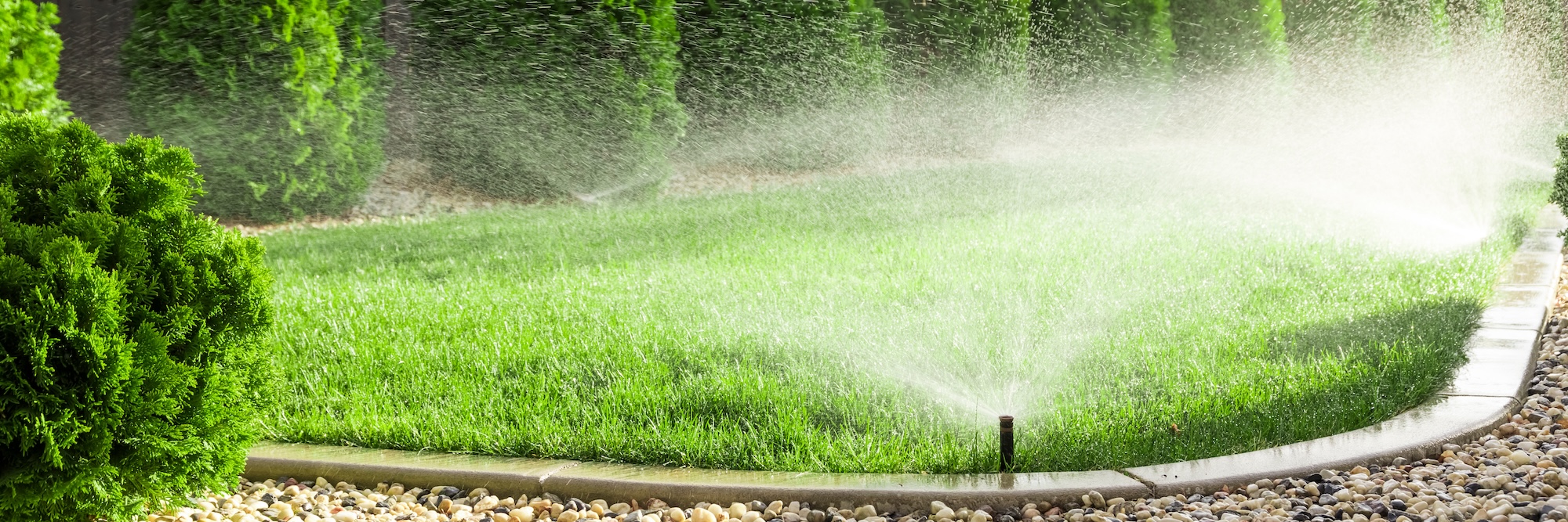 Featured image for “Signs Your Home’s Irrigation System Needs Repair in Albuquerque”