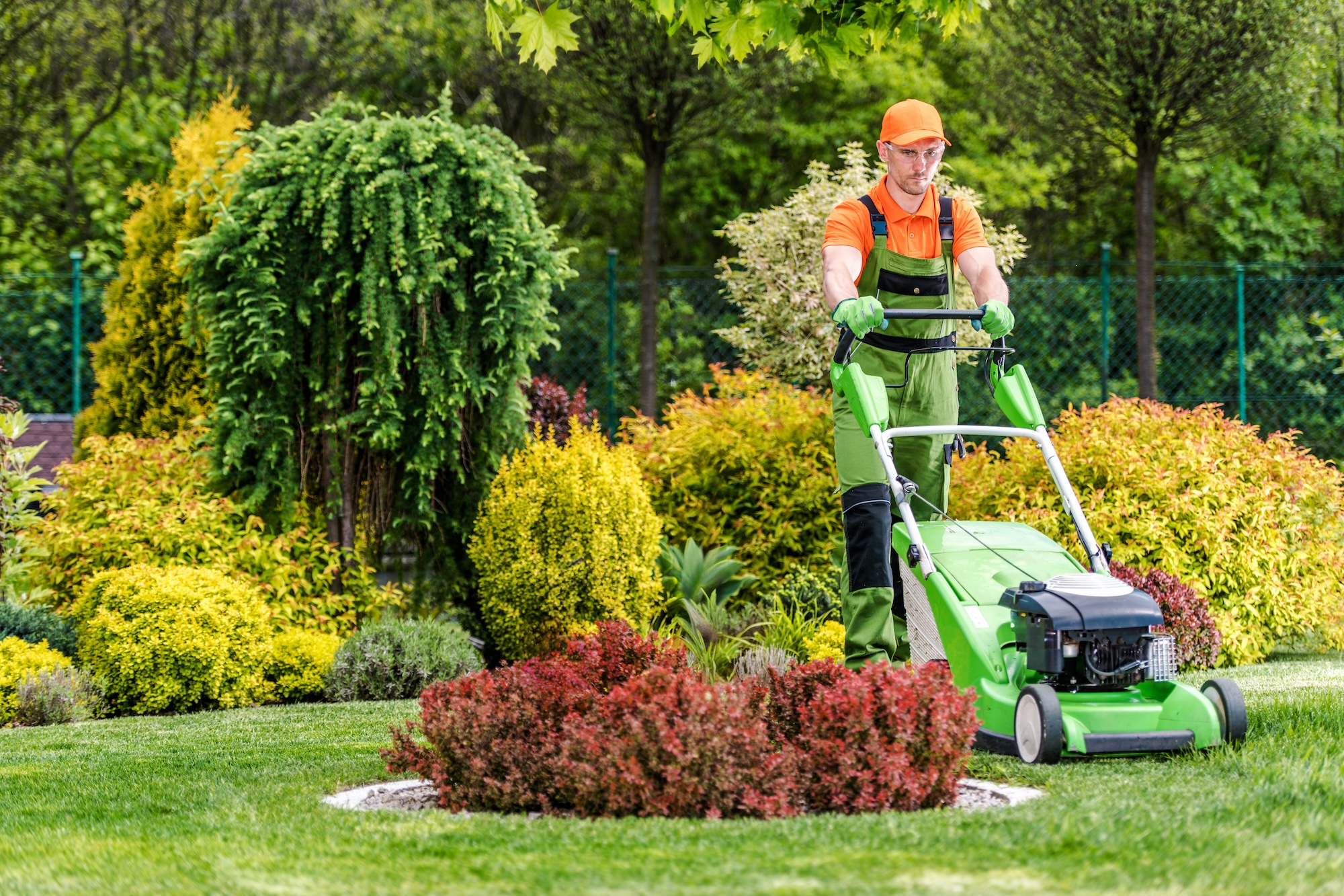 Featured image for “Why Every Business In Albuquerque Needs a Professional Commercial Landscaper”