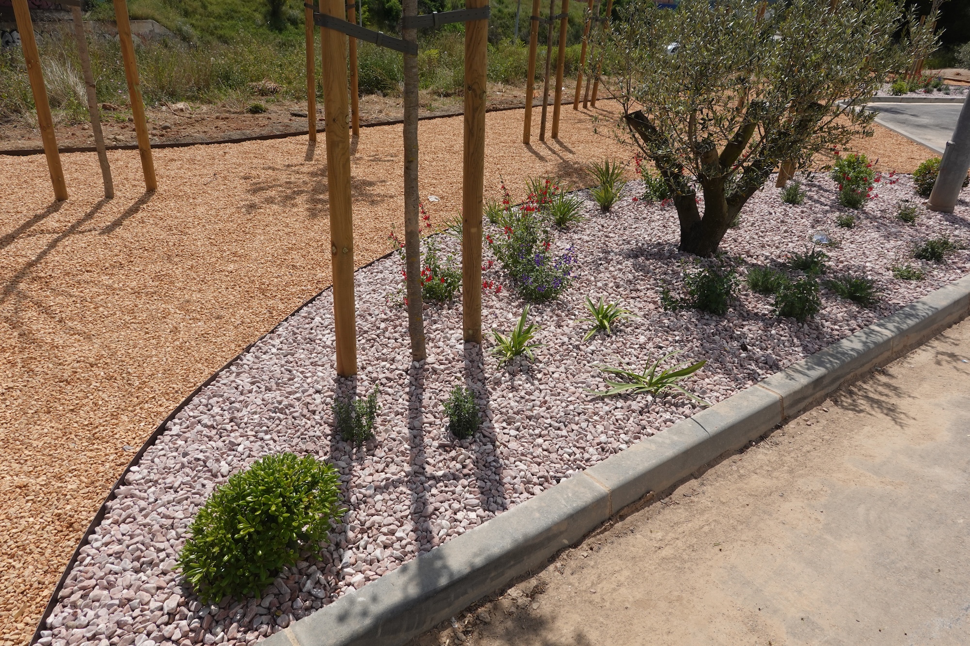 Featured image for “The Ultimate Guide to Low Maintenance Landscaping ”