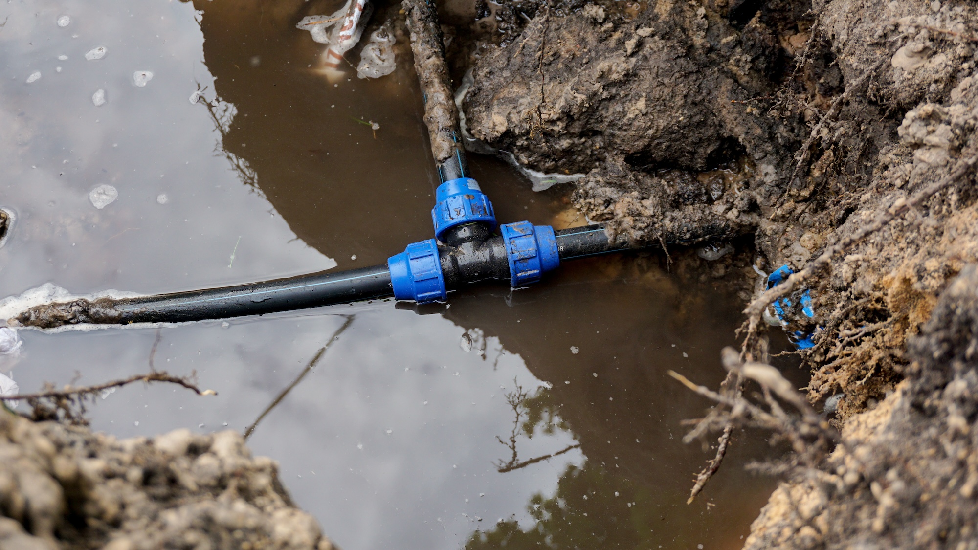 Featured image for “5 Warning Signs You Need Emergency Irrigation Repair in Albuquerque”
